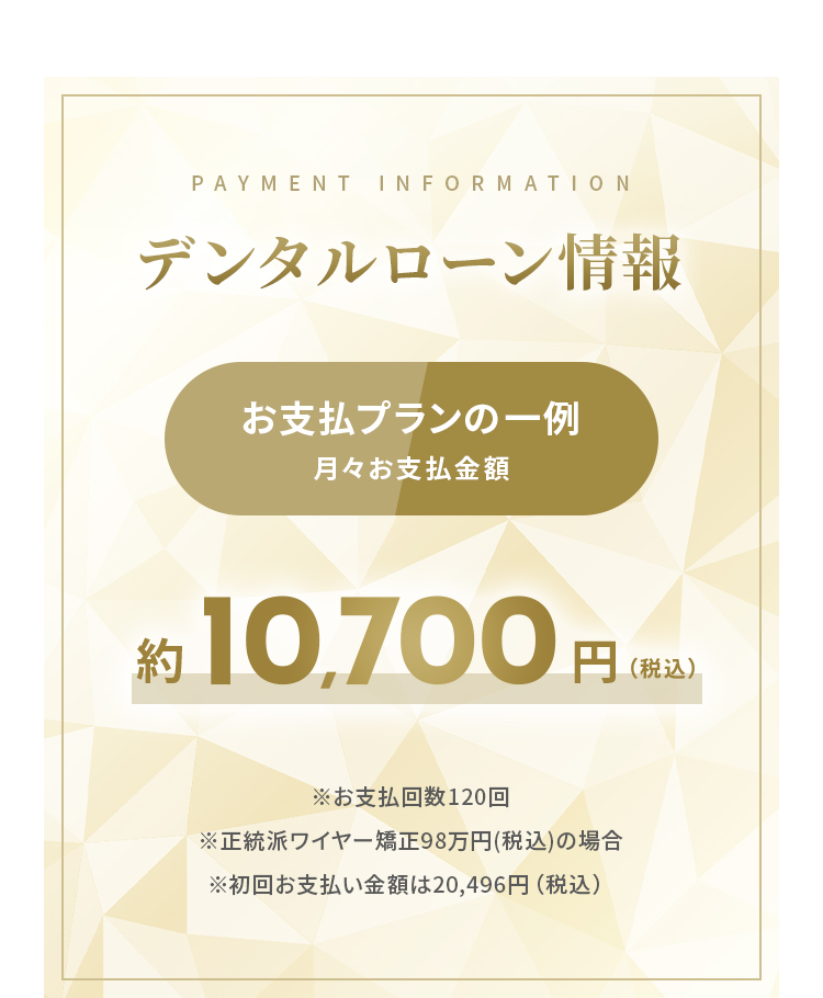 デンタルローン情報 お支払プランの一例（月々お支払金額）約10,700円（税込）